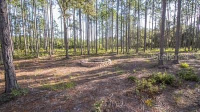 For Sale: $169,000 (21.45 acres)