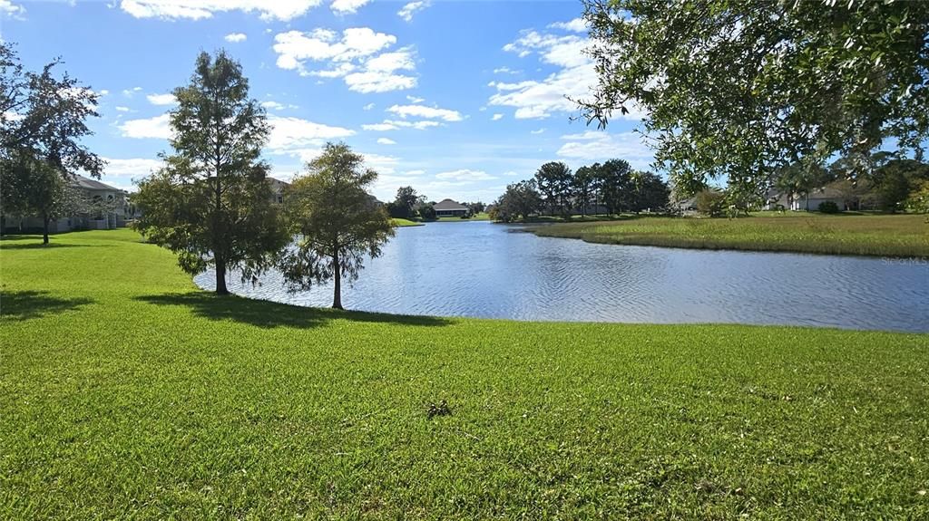 Pond view behind the building