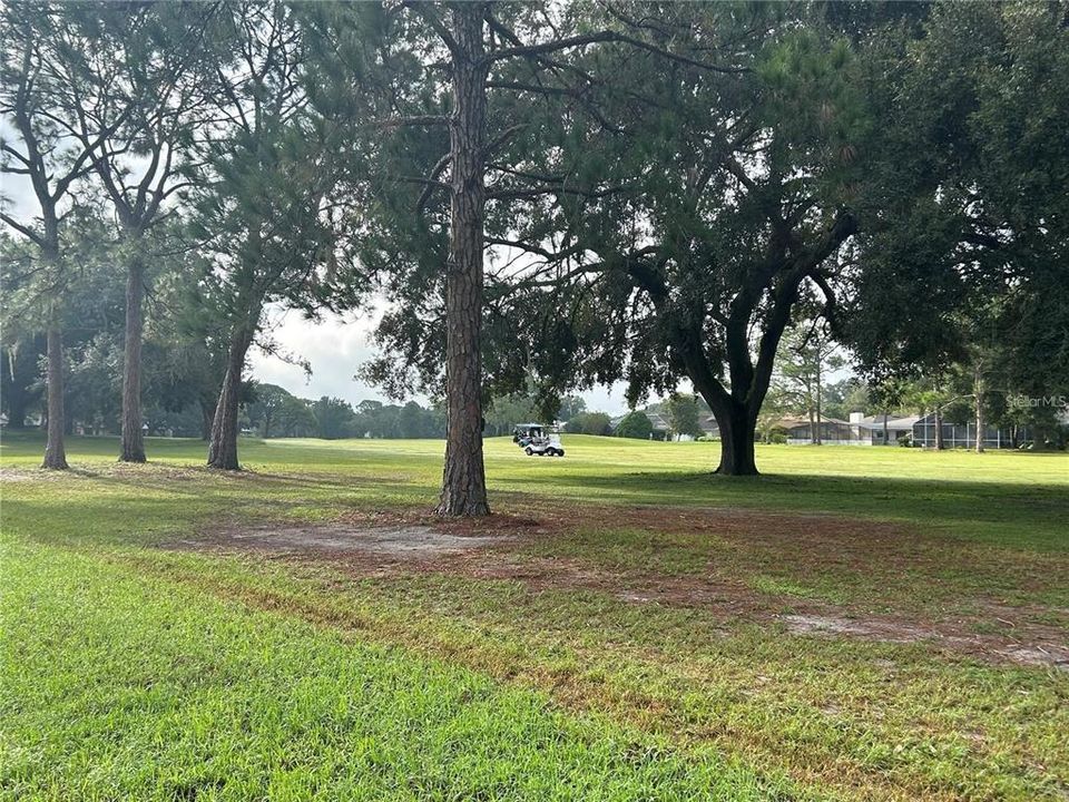 Golf Course View