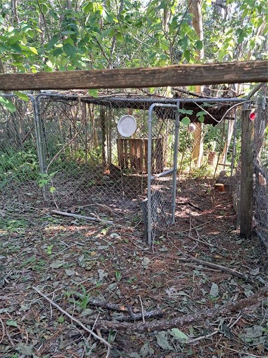 Kennels and fenced area for animals