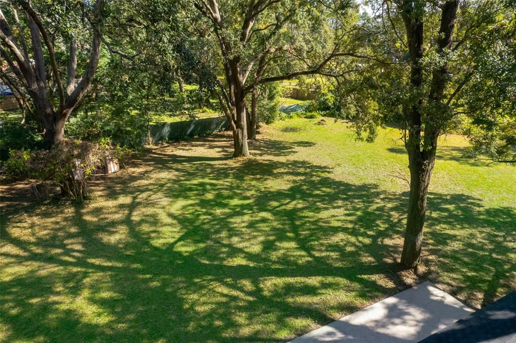 Expansive Backyard