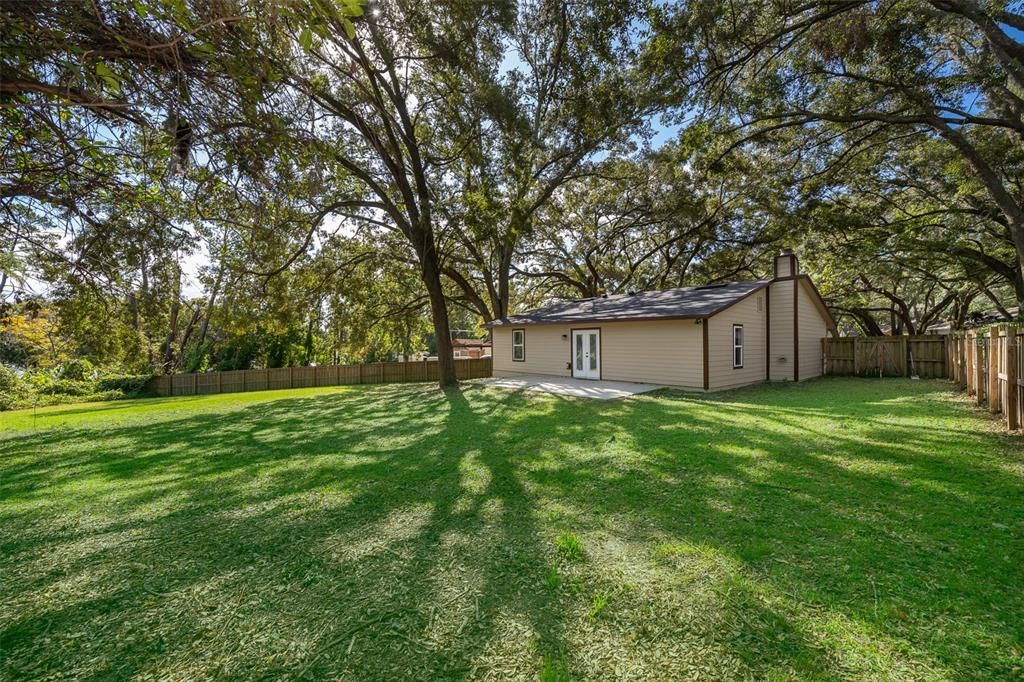 Expansive Backyard