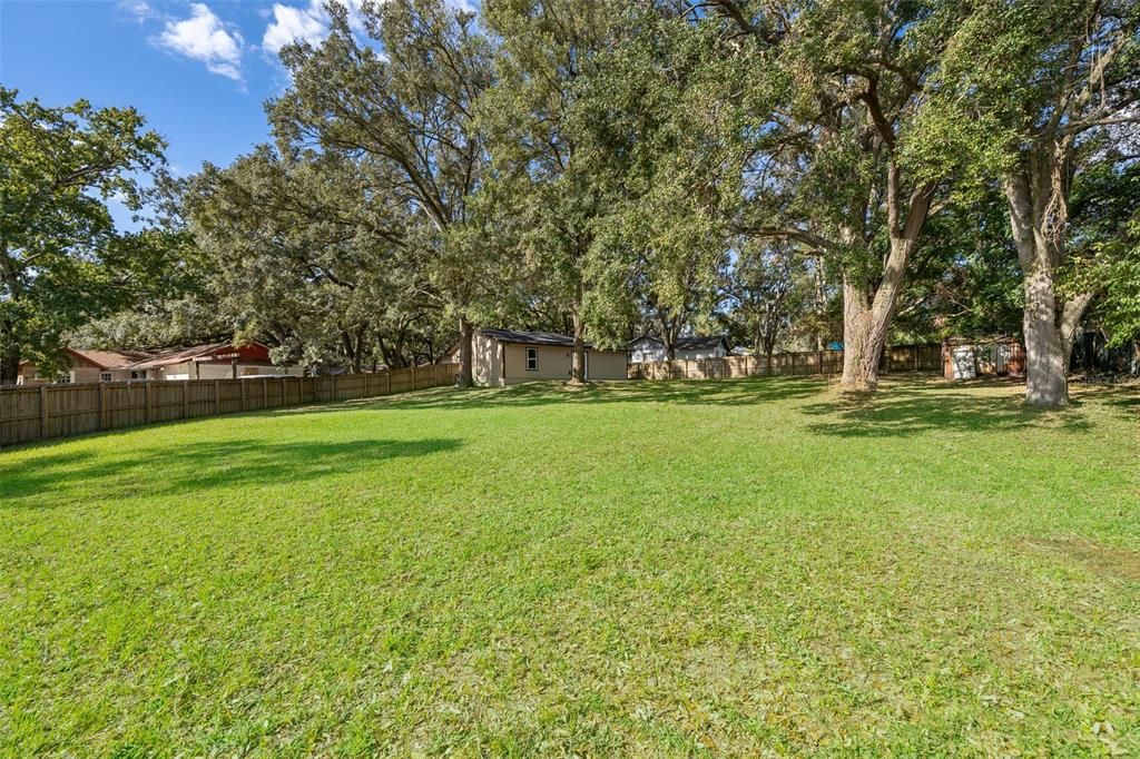 Expansive Backyard