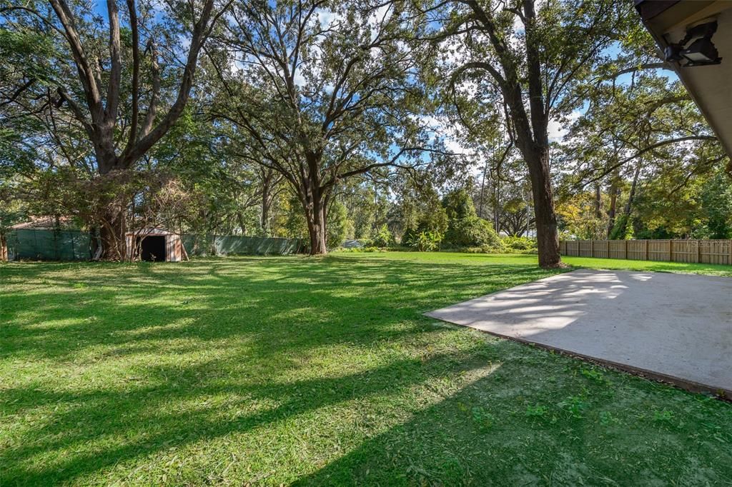 Expansive Backyard