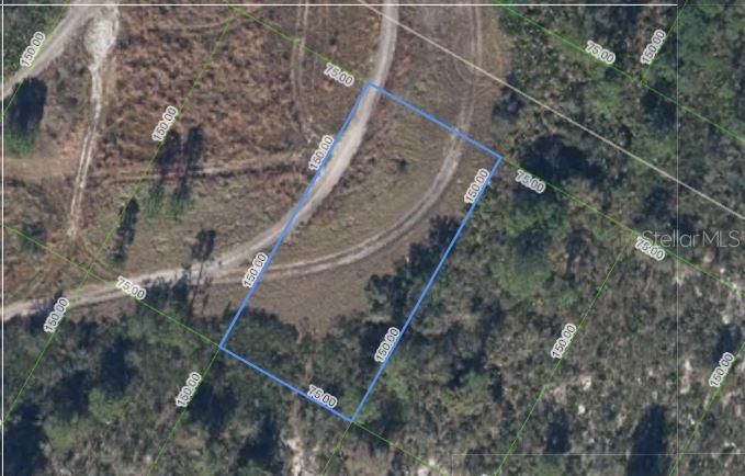 1/4 lot for sale in Highlands Park Estates