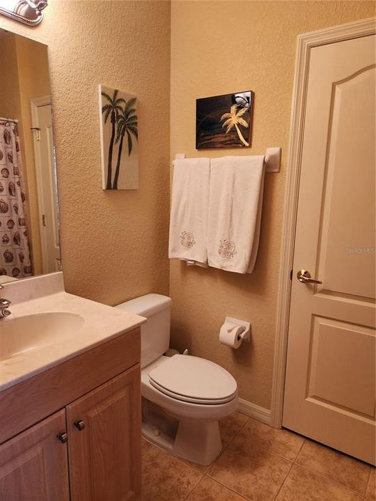 Guest bathroom