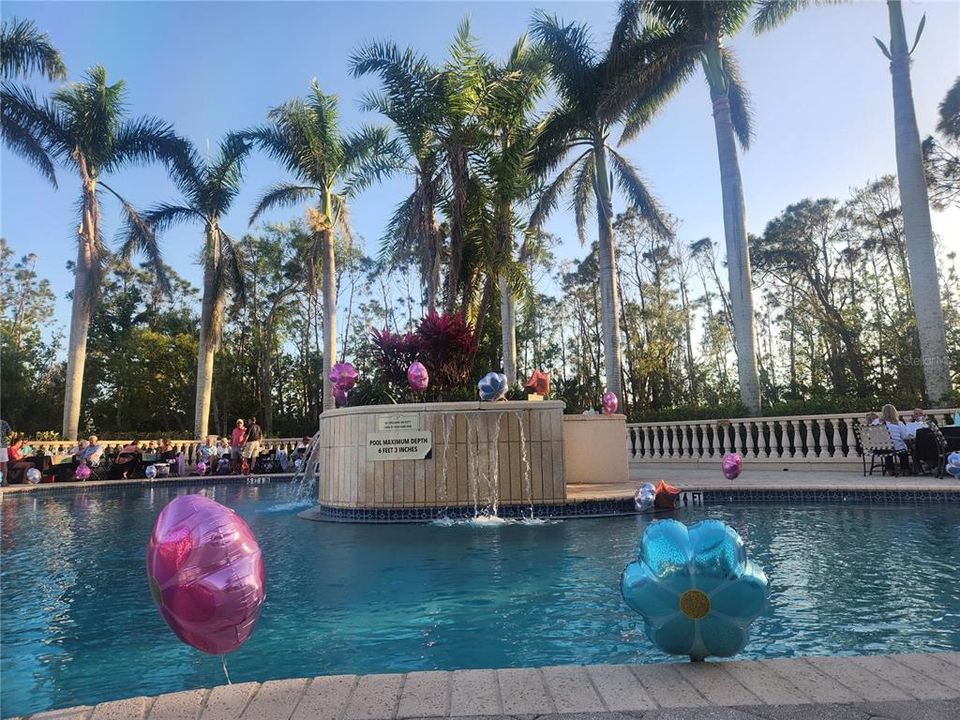 Resort style pool!