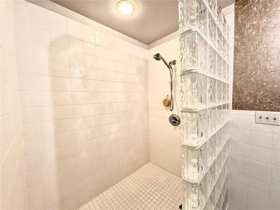 Primary Walk-in Shower