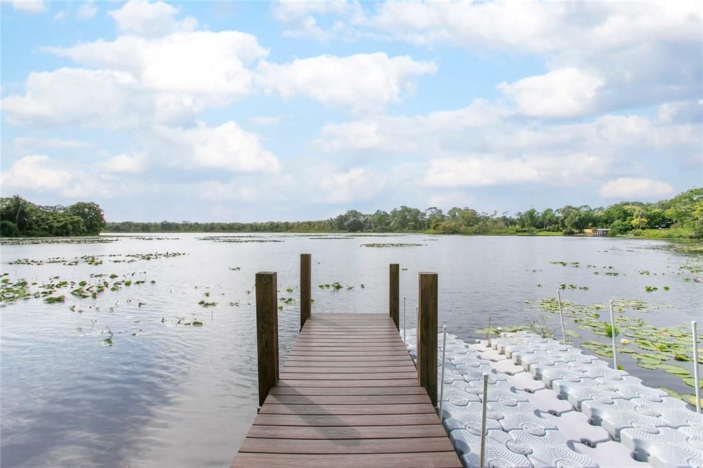 Dock view