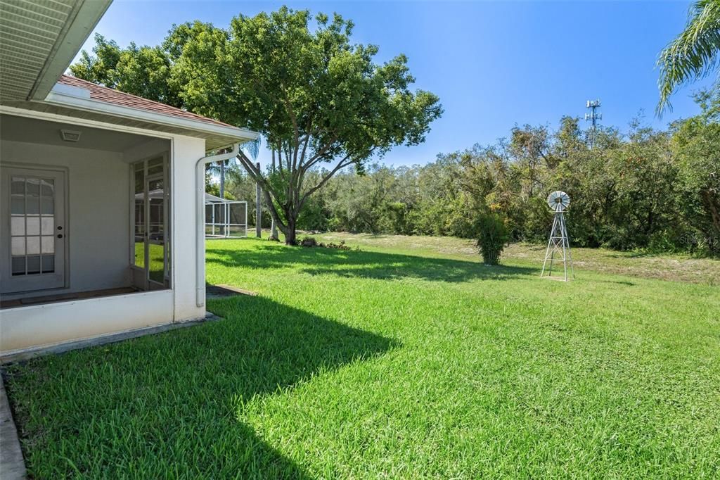 Backyard / Porch