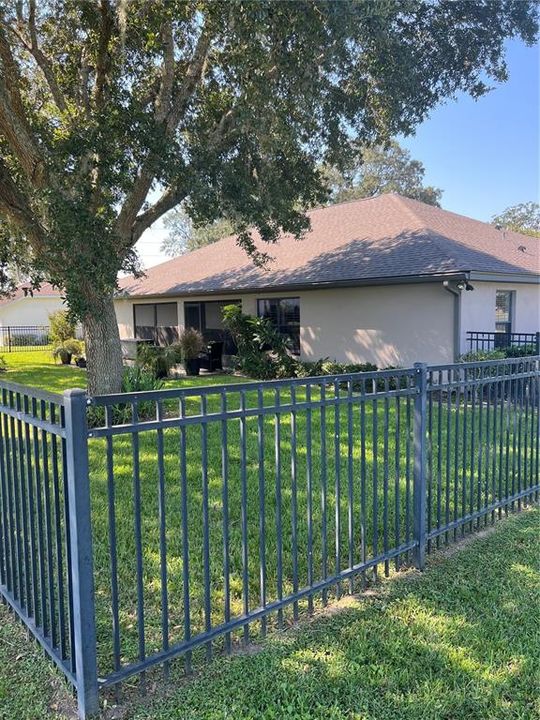 Fenced Back Yard