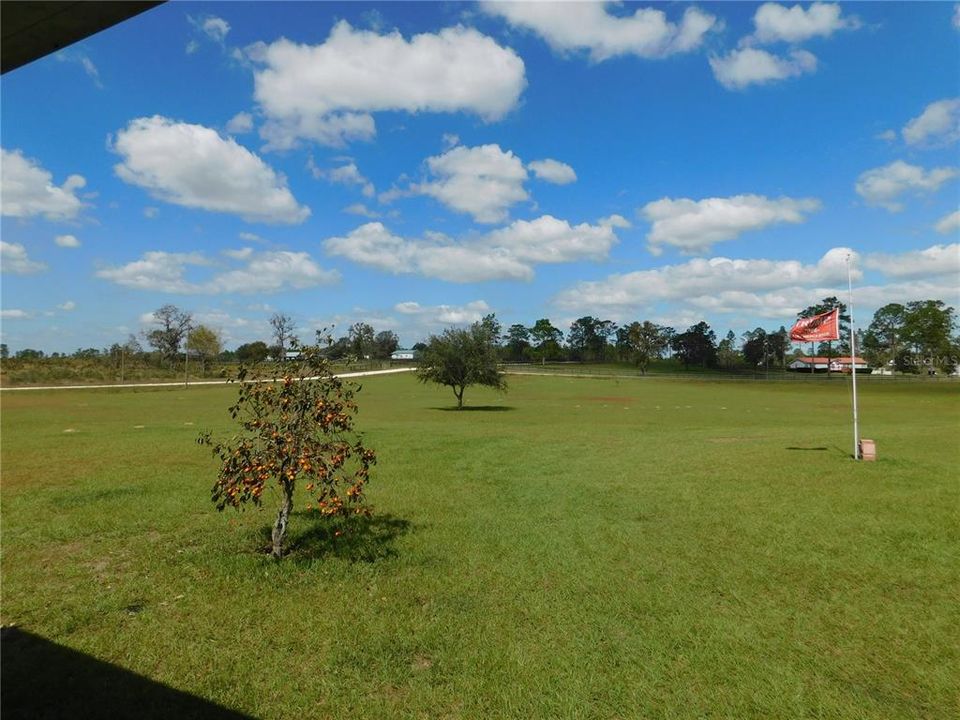 View from the Front Porch