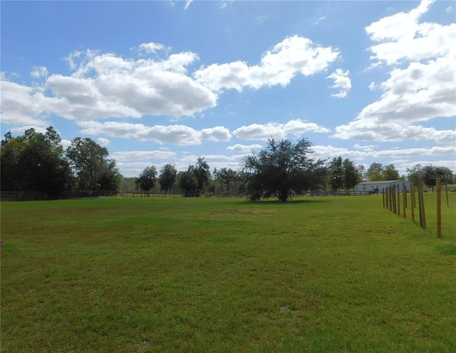 Looking Toward the Back of the 10 Acres