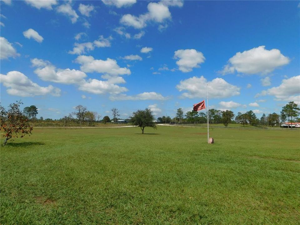 Looking Toward the Front of the 10 Acres