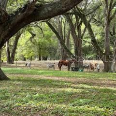 Oak Hammock and Farm Animals