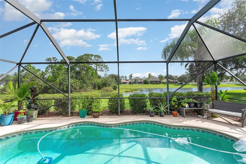 Pool and Water view