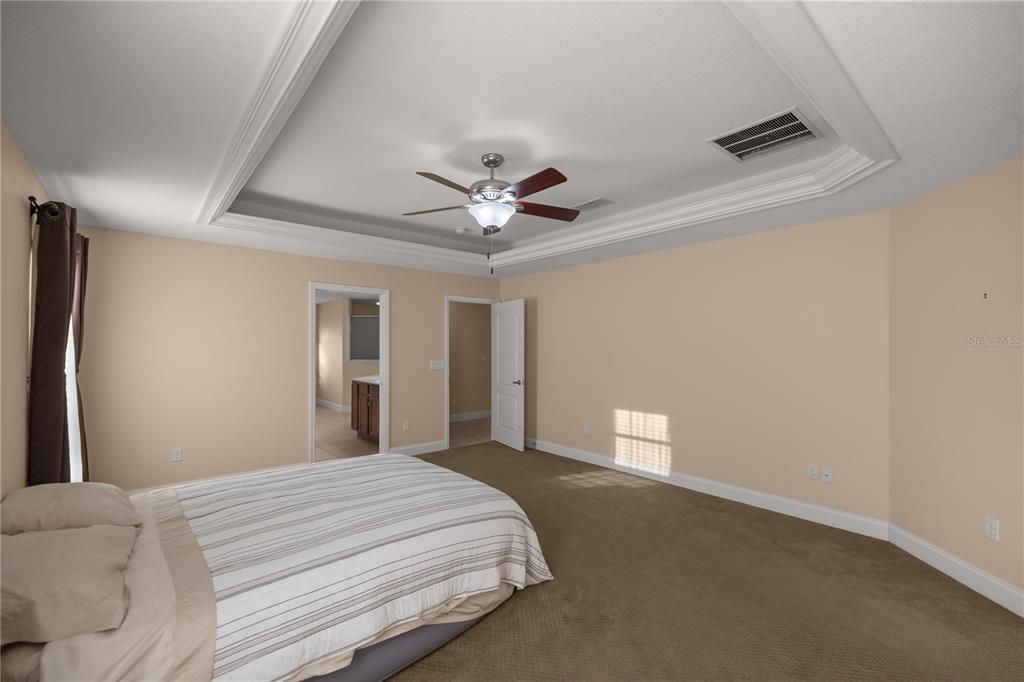 Tray Ceilings