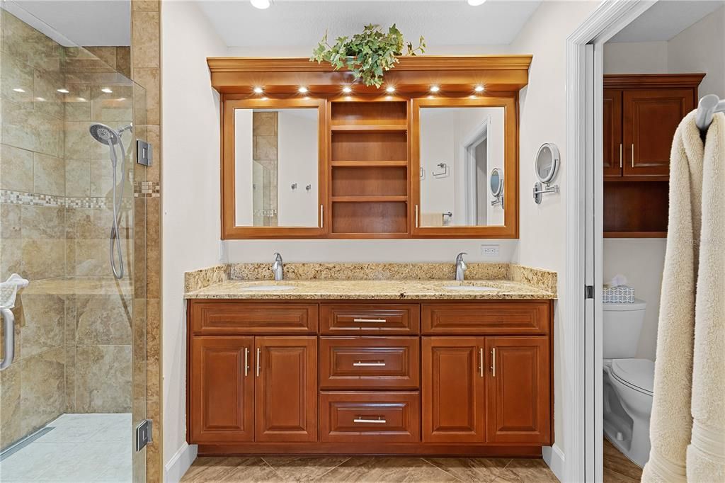 PARTIAL VIEW OF ENSUITE, PRIVATE WATER CLOSET, WALK-IN SHOWER