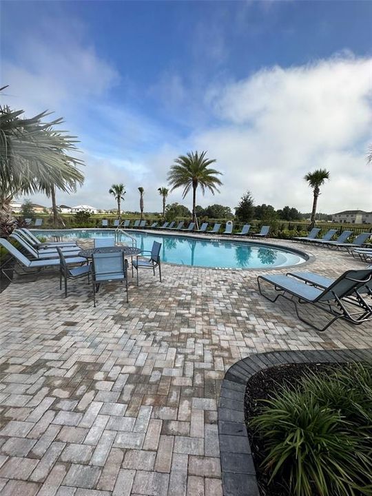 Lots of space to lounge around the pool