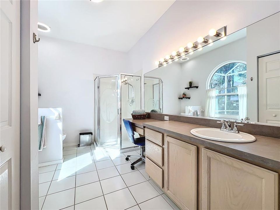 Primary Suite Bathroom