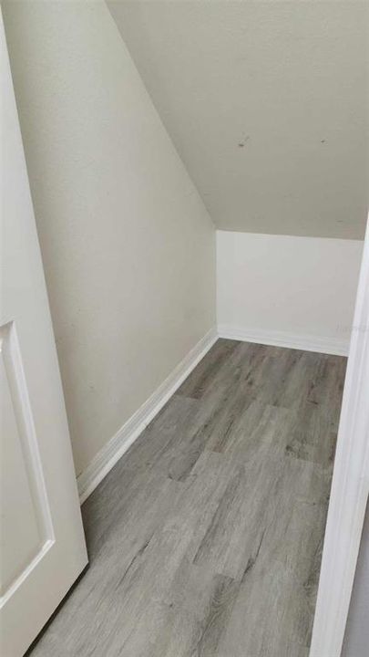 Storage under stairs across from half bath