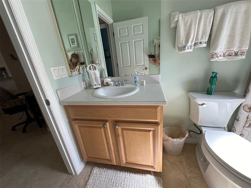 Main Bath Sink