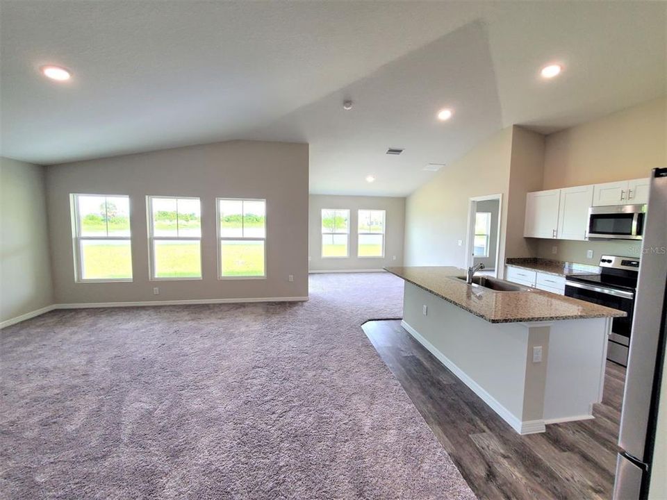 Living Area/ Kitchen