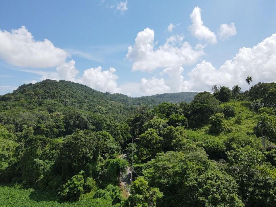 待售: $425,000 (77.30 acres)