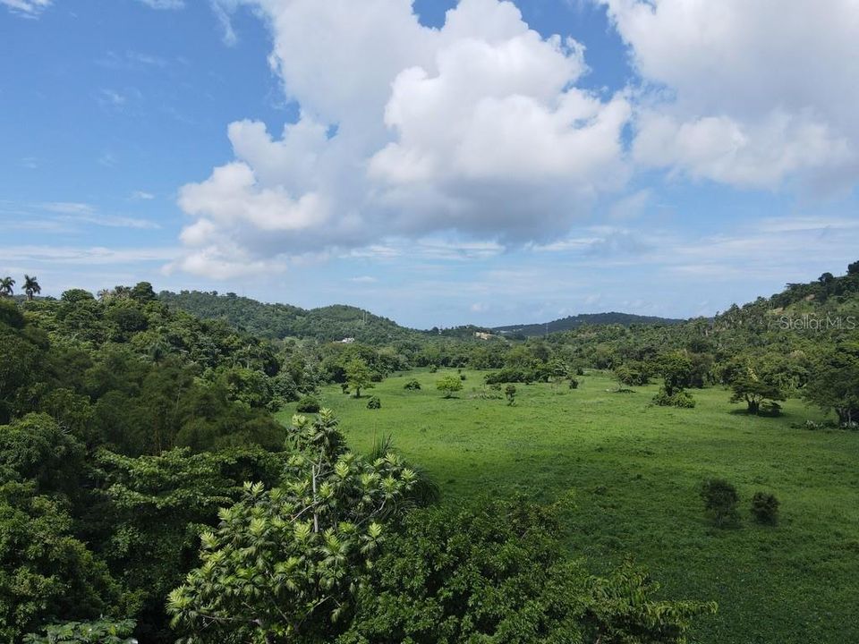 待售: $425,000 (77.30 acres)