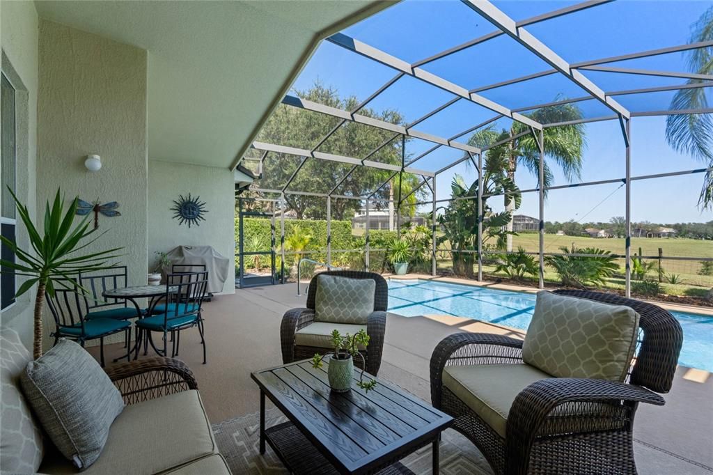 Screened-in lanai and pool