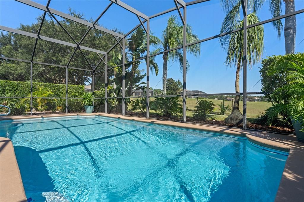 Screened-in lanai and pool