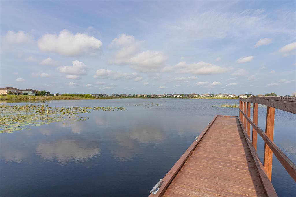 Community dock