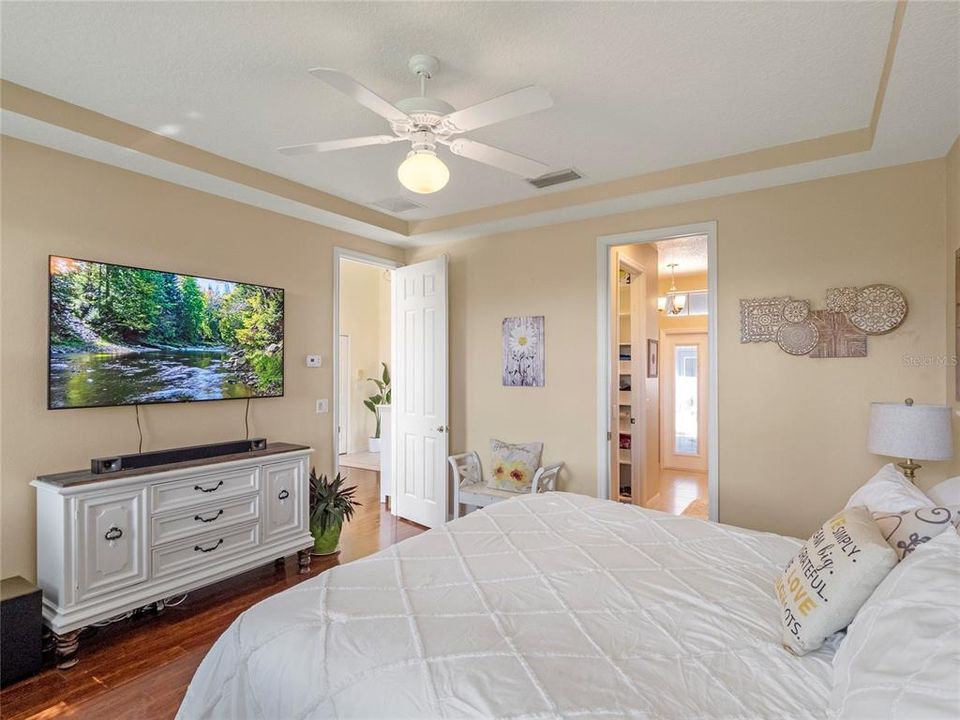 Walk in closet, blinds for privacy and tray ceilings