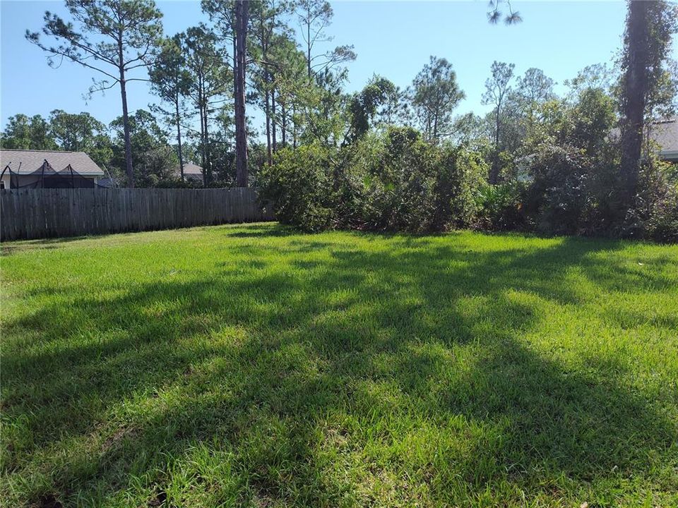 Spacious Backyard!