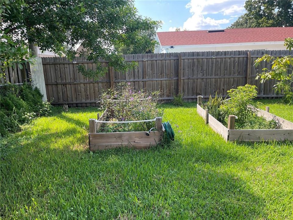 Garden beds in back yard