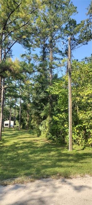 Power Pole on SW Corner of Property on SE 66th Street