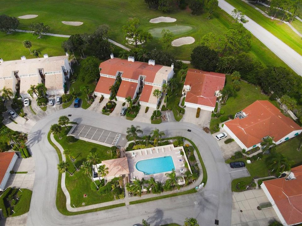 Preserves Court Community Pool Aerial