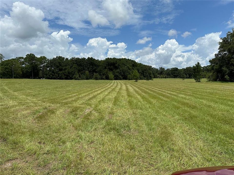 For Sale: $245,000 (18.57 acres)