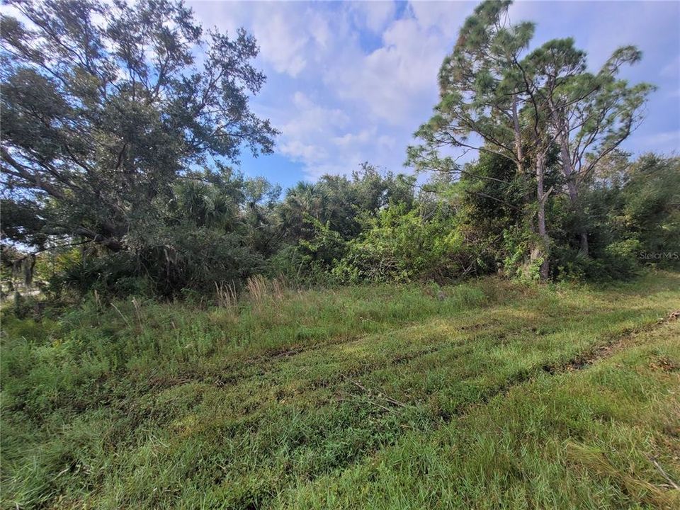 En Venta: $25,000 (1.02 acres)