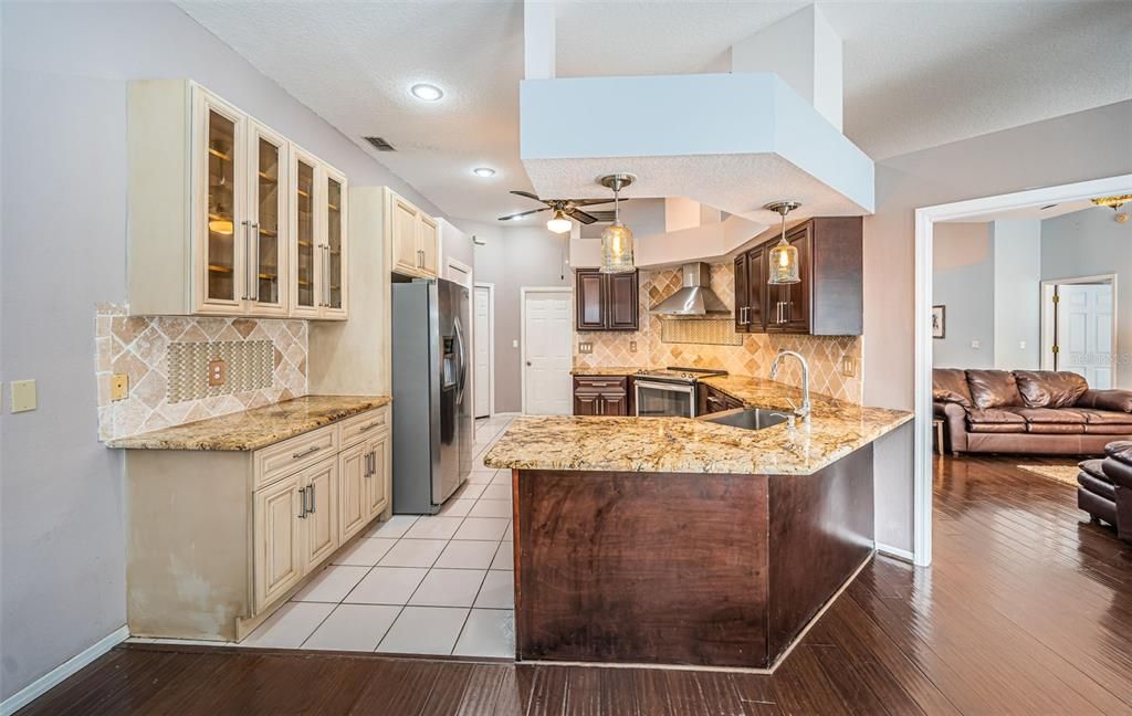 Gourmet Remodeled Kitchen