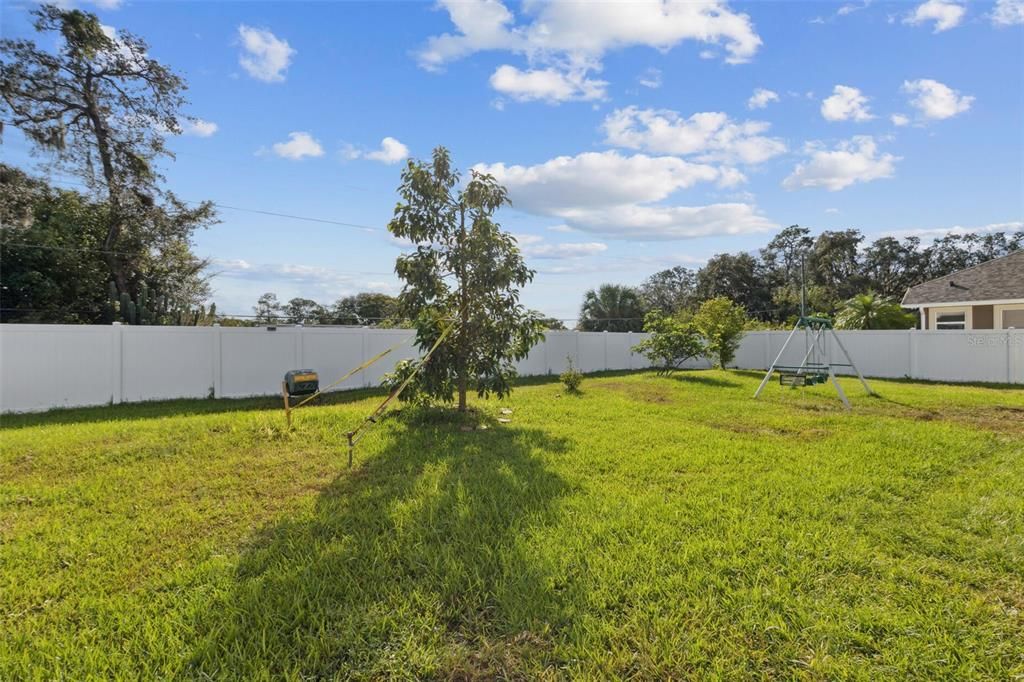 Backyard with Fruit Trees