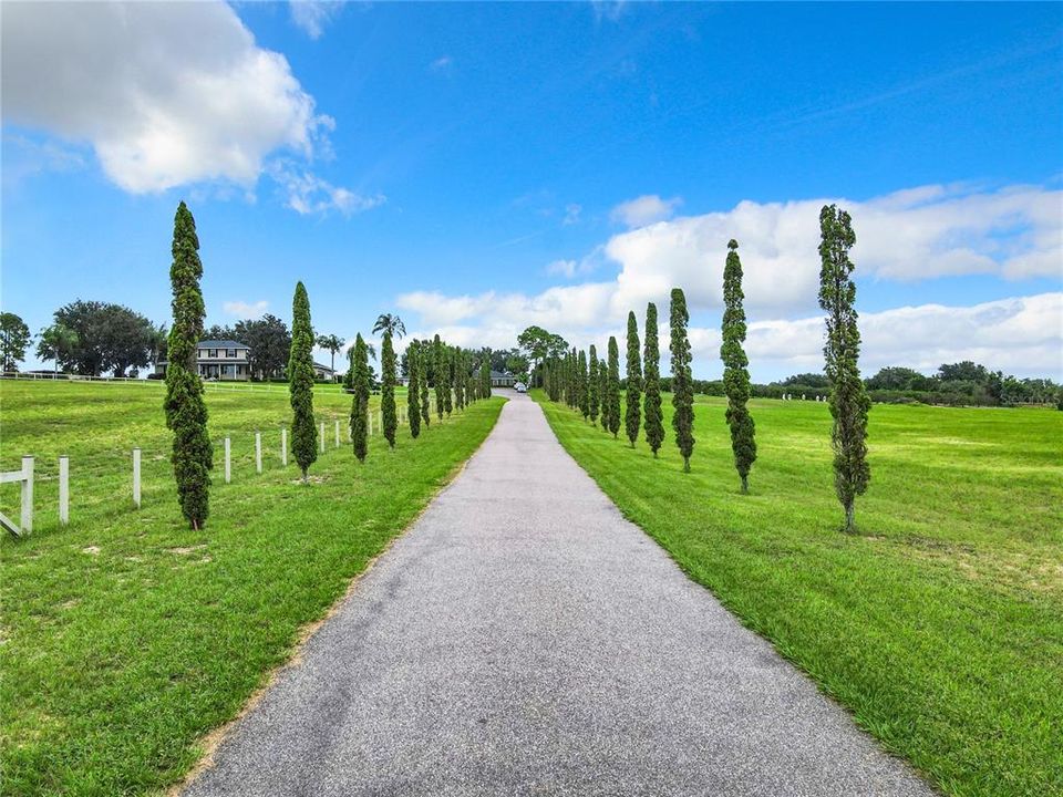 Follow the tree-lined driveway to this custom built 5 bedroom, 3 bath pool home.