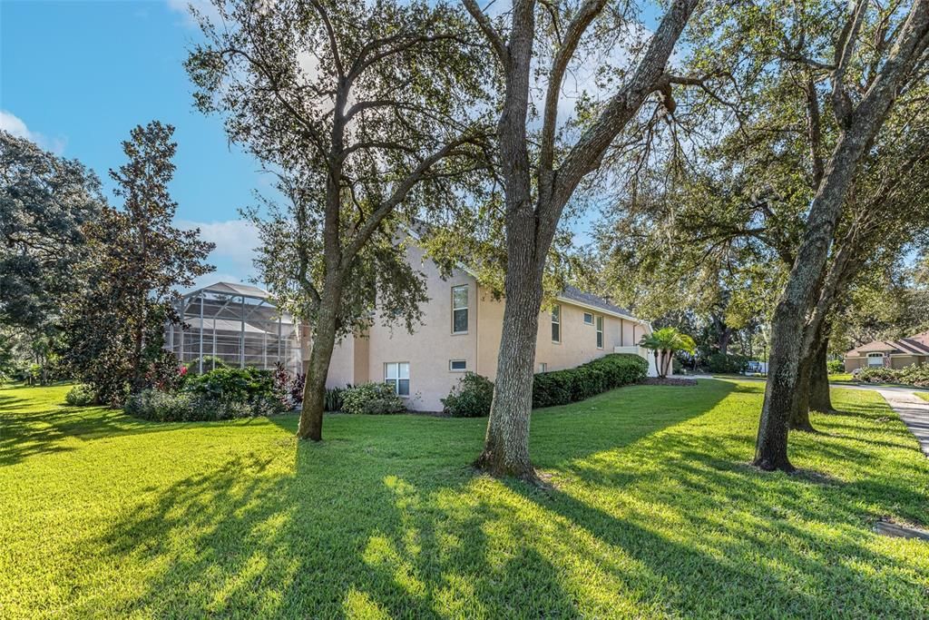 View of side and rear yard that is park-like.