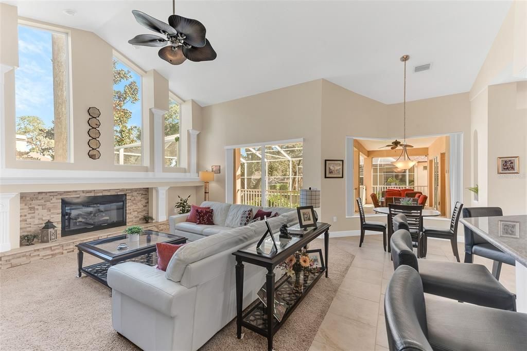 Incredible Windows and gas fireplace in the family room.