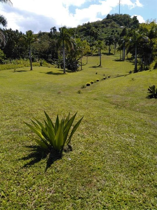 En Venta: $300,000 (2.50 acres)