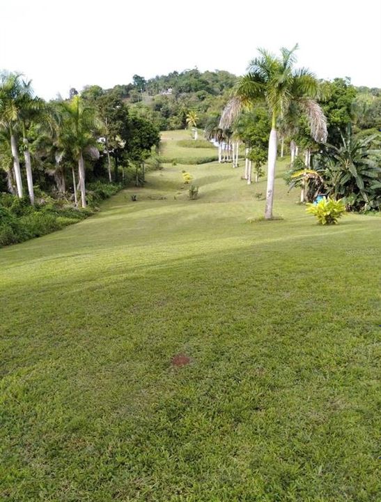 En Venta: $300,000 (2.50 acres)