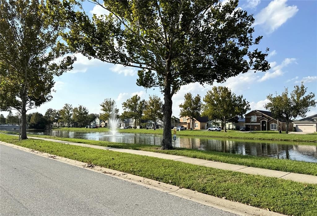 Pond Views