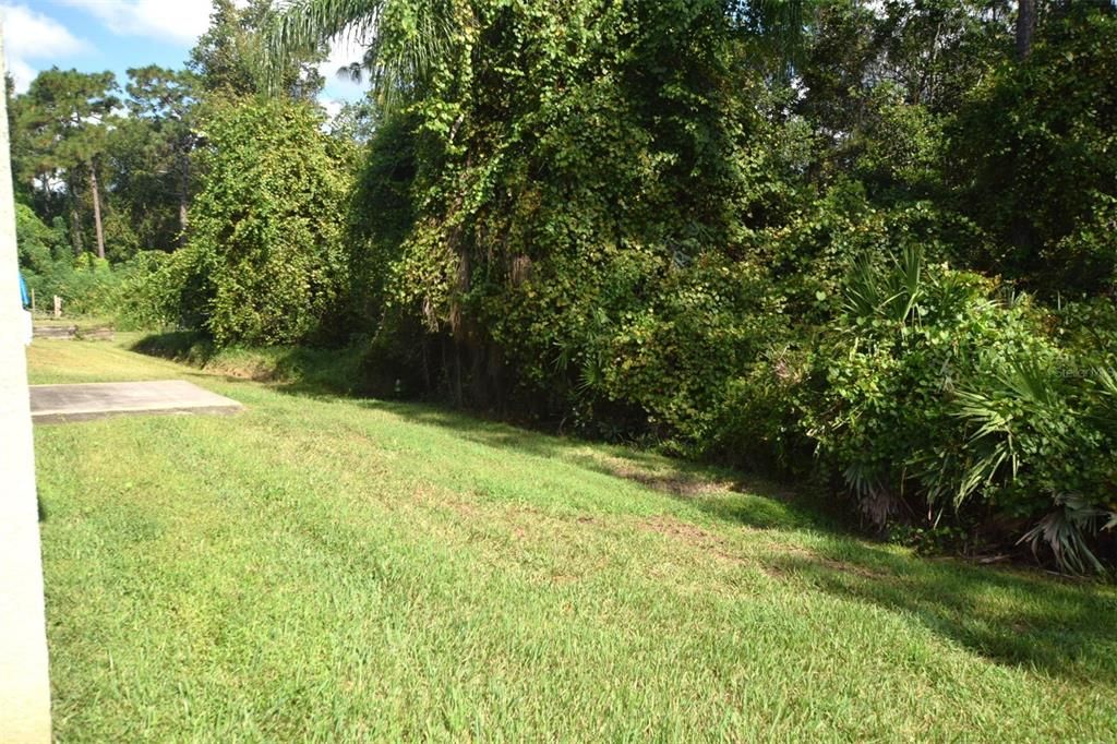 No rear neighbors, as home is located on a Conservation Lot.