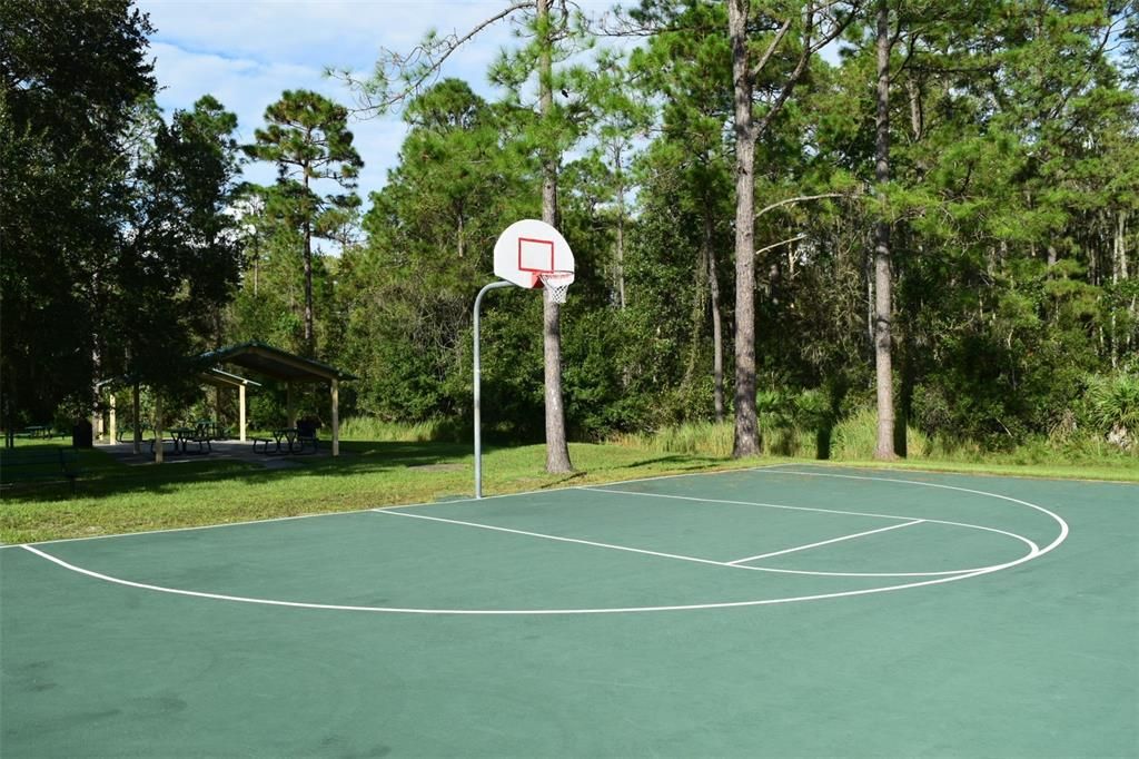 amenities also include basketball courts.