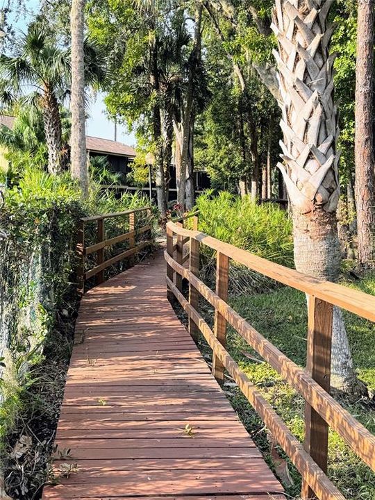 WALKWAY TO POOL